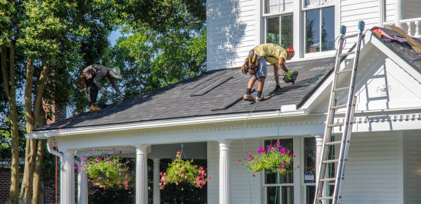 Best Roof Gutter Cleaning  in Ellerslie, GA
