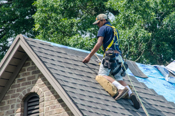 Best Roofing Contractor Near Me  in Ellerslie, GA